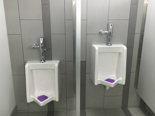 Carolina Day School Urinal